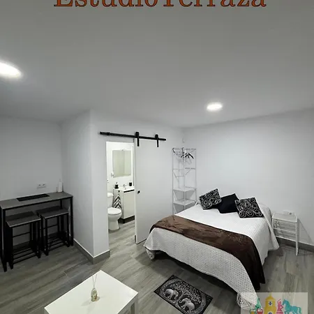 Estudios I Jerez 헤레스